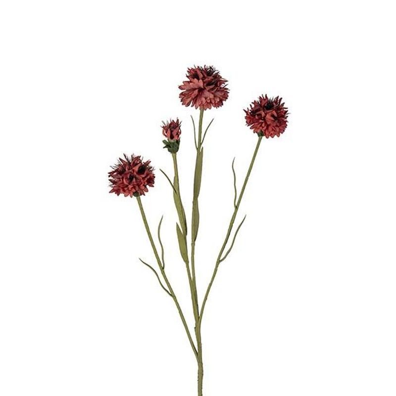 Mr.Plant Klint rust