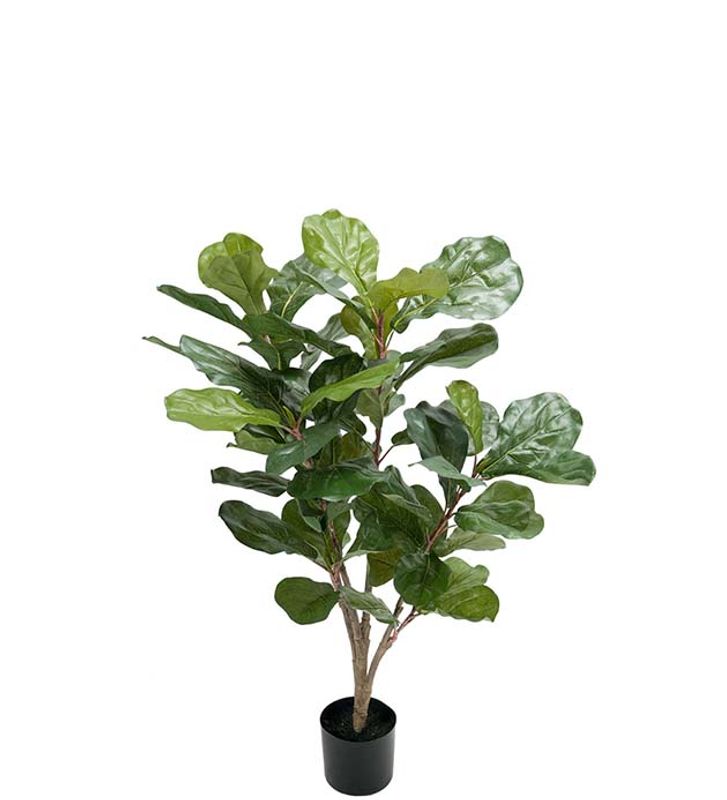 Mr.Plant fikentre 90cm